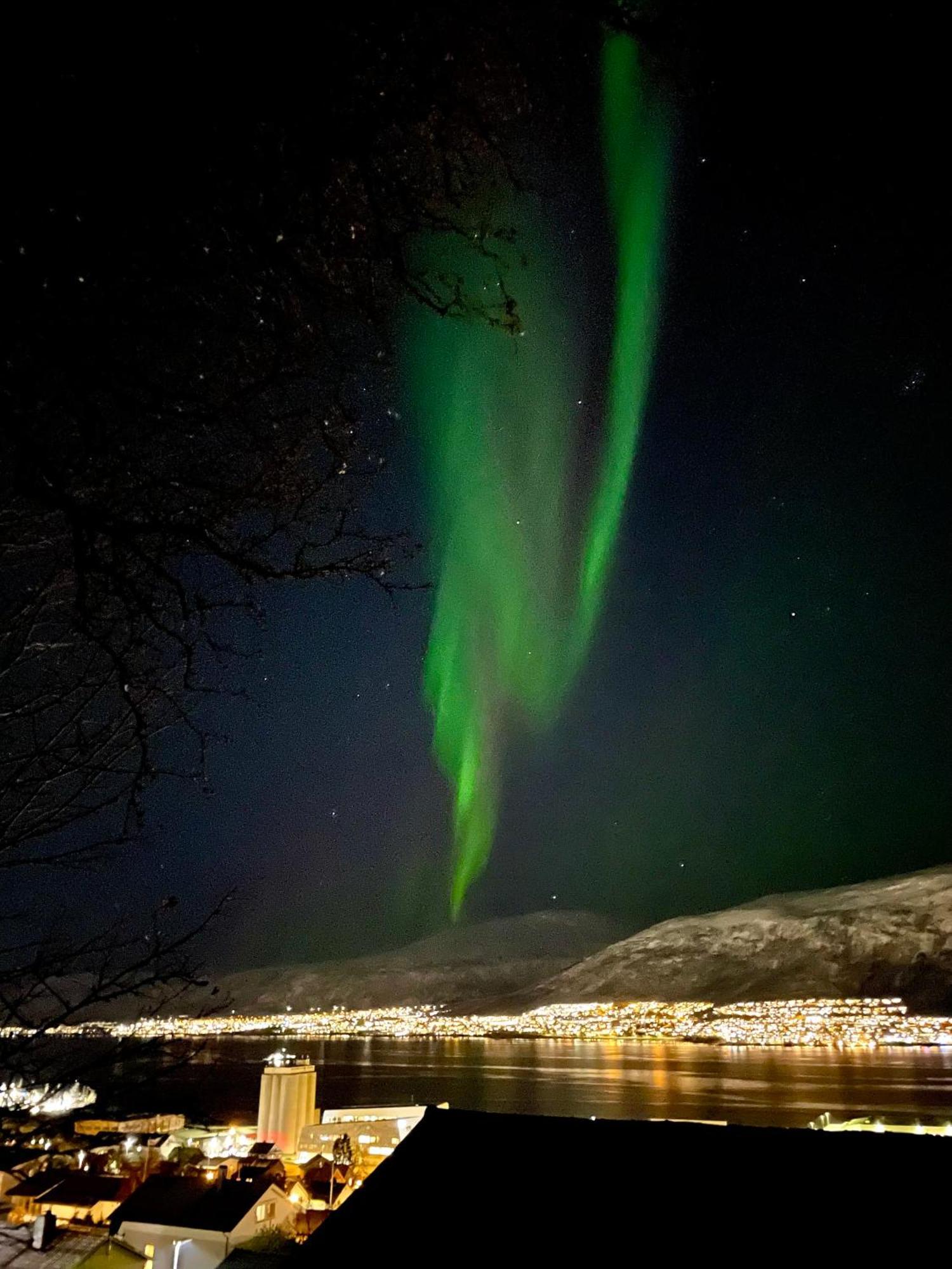 Penthouse With Panorama View And Great Location! Daire Tromsø Dış mekan fotoğraf